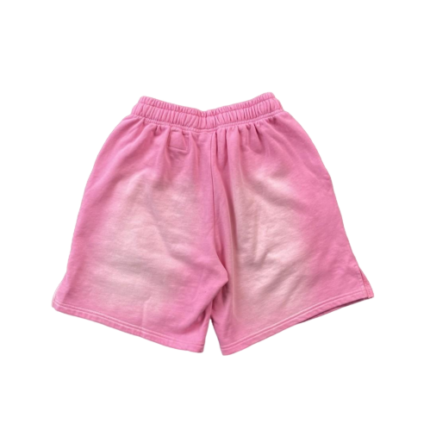 Hellstar Shorts Pink